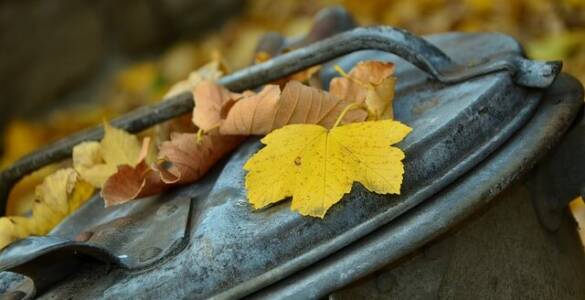 metalowy kosz na śmieci z jesiennymi liśćmi